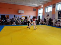 IMG-3175fb49f00b695aed8fc8ff84109905-V
