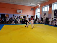 IMG-3175fb49f00b695aed8fc8ff84109905-V