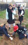 IMG-090292aead59ebaaaf31e84f5ff11e2b-V