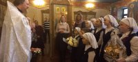 изображение_viber_2023-01-25_09-57-20-335
